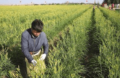 打造現(xiàn)代化生態(tài)灌區(qū) 引領水利高質(zhì)量發(fā)展